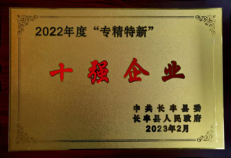 長(cháng)豐縣2022年度專精(jīng)特新(xīn)十強企業 長(cháng)豐縣2022年度專精(jīng)特新(xīn)十強企業