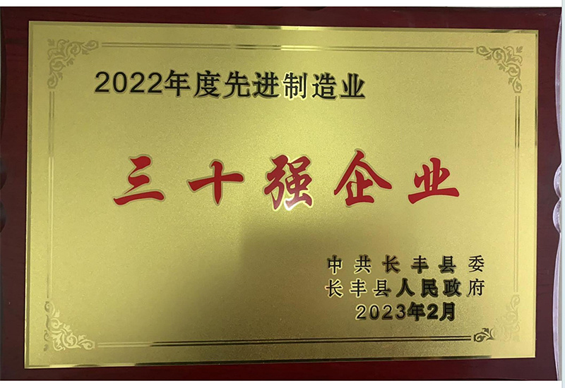 2022年度先進制造業三十強-長(cháng)豐縣人民(mín)政府 2022年度先進制造業三十強-長(cháng)豐縣人民(mín)政府