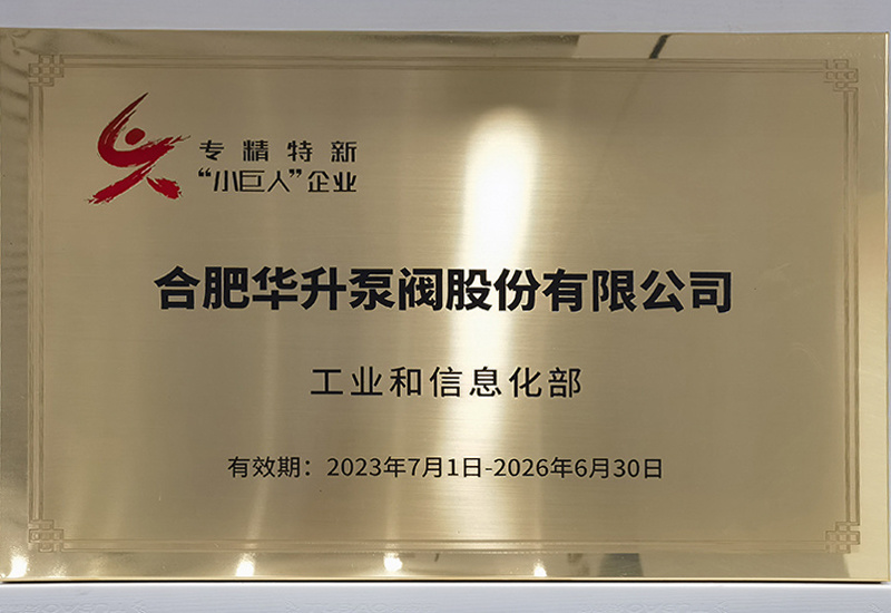 國(guó)家級專精(jīng)特新(xīn)小(xiǎo)巨人牌匾 國(guó)家級專精(jīng)特新(xīn)小(xiǎo)巨人牌匾